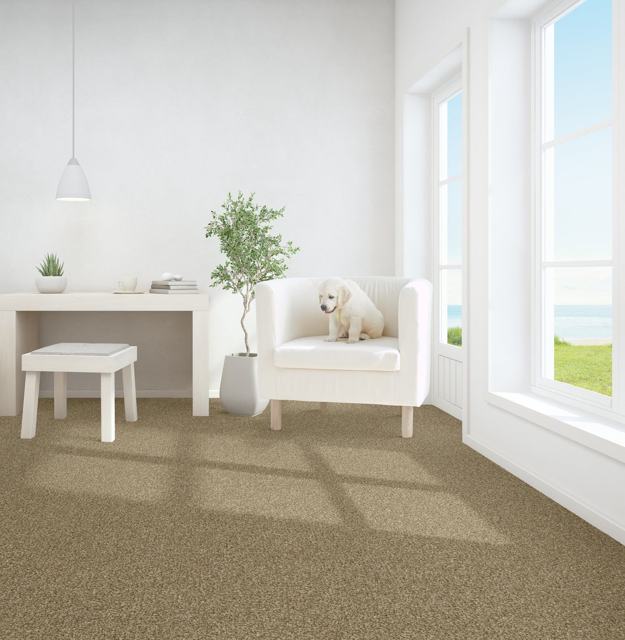 Pyrenees carpet by Dixie Home