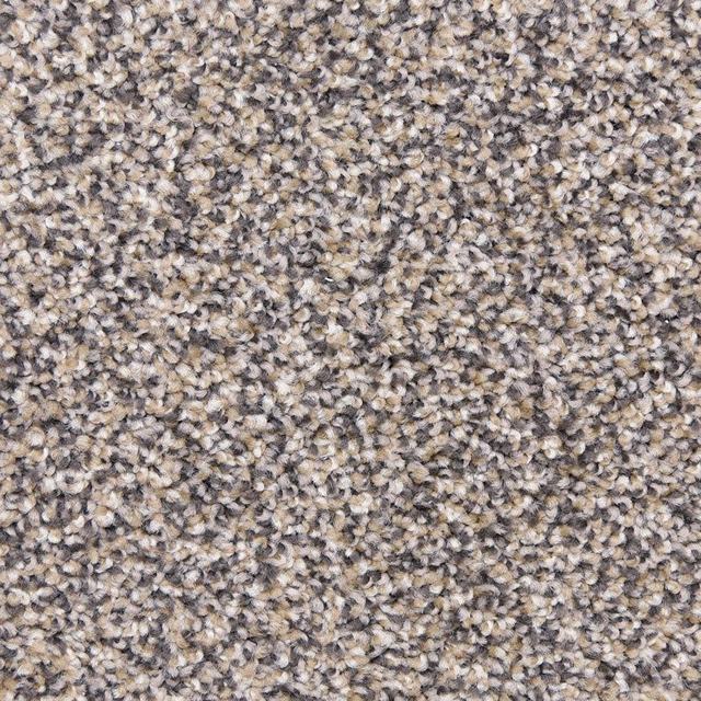 Star Power carpet by Dixie Home